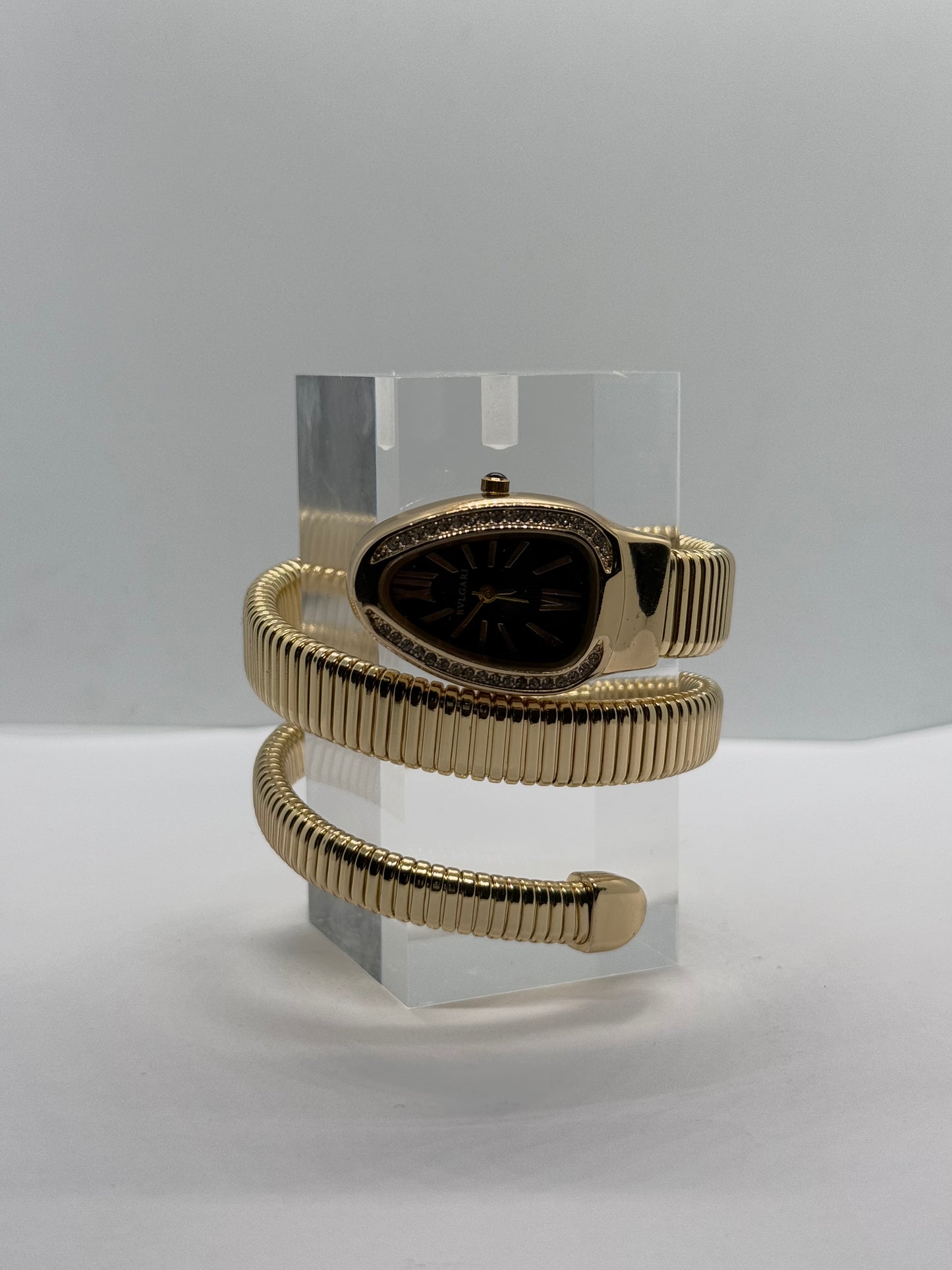 Golden Snake Watch